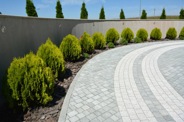 Best Decorative Driveway Pavers  in Greenwood, DE